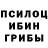 Галлюциногенные грибы Cubensis porosenok4
