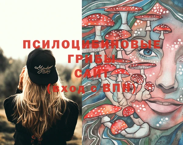 гидра Лиски