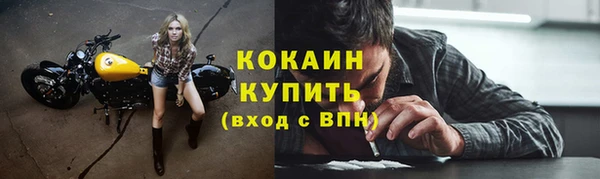 МДПВ Пересвет