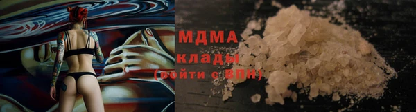 МДПВ Пересвет