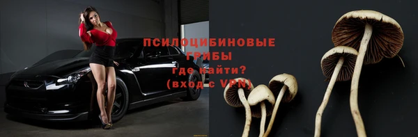 гидра Лиски