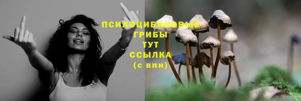герыч Пестово
