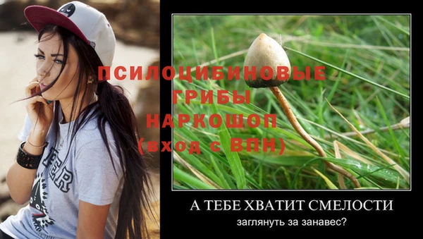МДПВ Пересвет