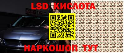 СК Донецк