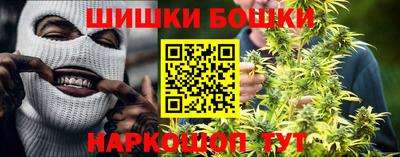 СК Дубна