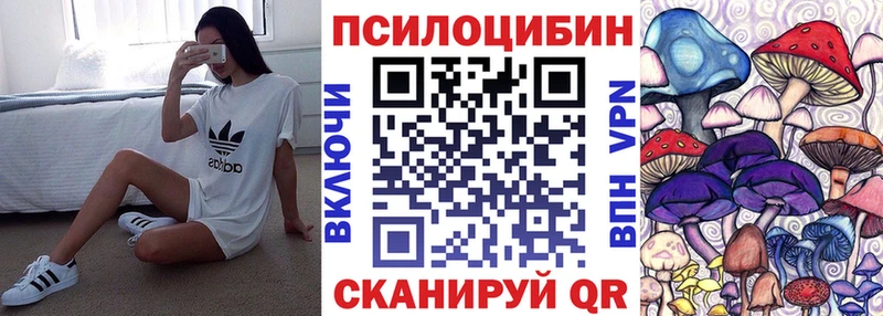 KRAKEN ТОР  Обнинск  Псилоцибиновые грибы мицелий 