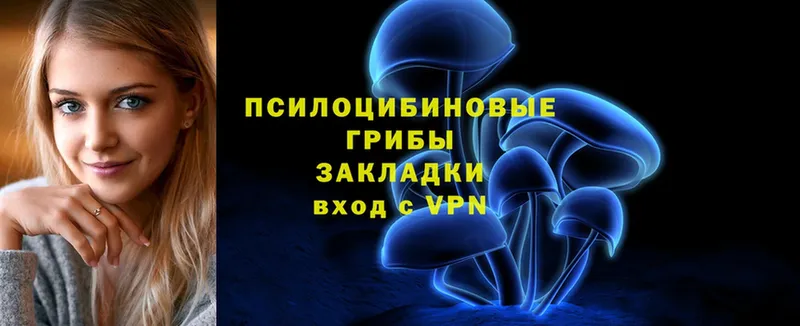 Галлюциногенные грибы Psilocybine cubensis  мега ТОР  Обнинск 