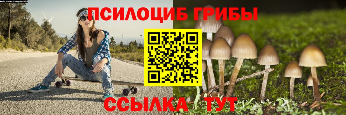 Псилоцибиновые грибы GOLDEN TEACHER  Обнинск  Галлюциногенные грибы Psilocybine cubensis 