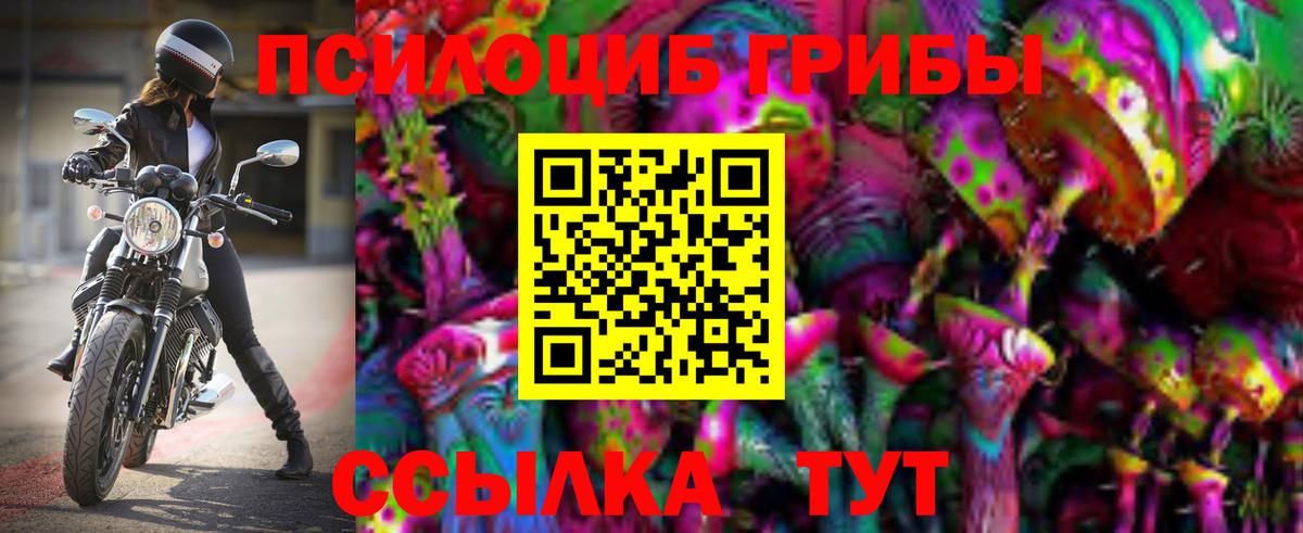 Обнинск  сколько стоит  Псилоцибиновые грибы GOLDEN TEACHER  Вход с VPN  Псилоцибиновые грибы мицелий 