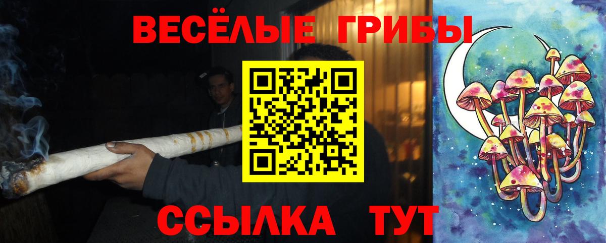 Галлюциногенные грибы мухоморы Обнинск