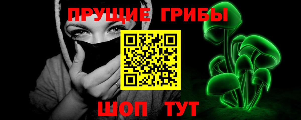 Псилоцибиновые грибы Cubensis Обнинск